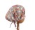 k-582_t1.jpg