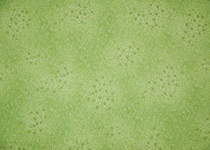 czepek wywijany a-221